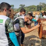 Geracao de empregos no manejo florestal