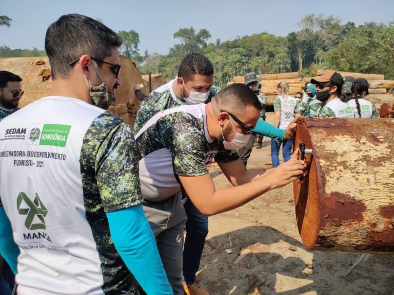 GERAÇÃO DE EMPREGOS NO MANEJO FLORESTAL