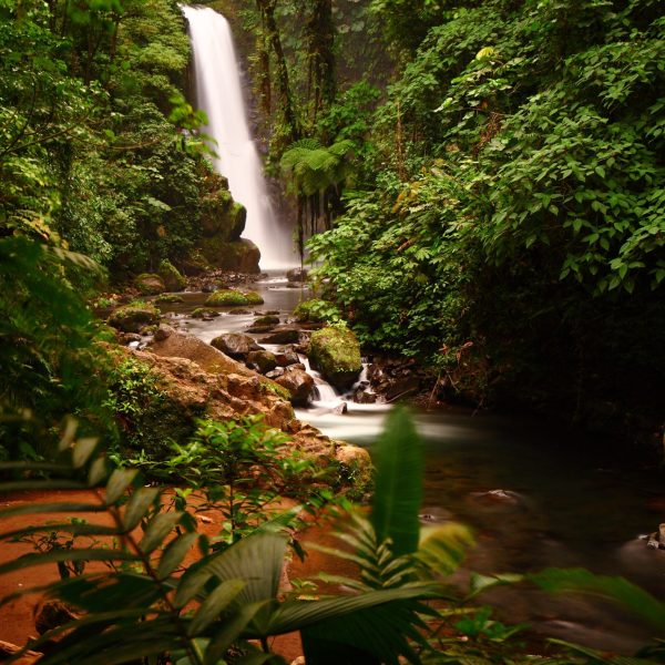 A long shot of a the majestic La Paz waterfalls in the middle of a lush forest  in Cinchona Costa Rica