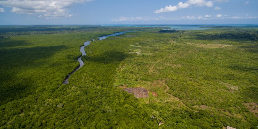 aerial-shot-river-going-through-tropical-green-field-captured-zanzibar-africa-scaled
